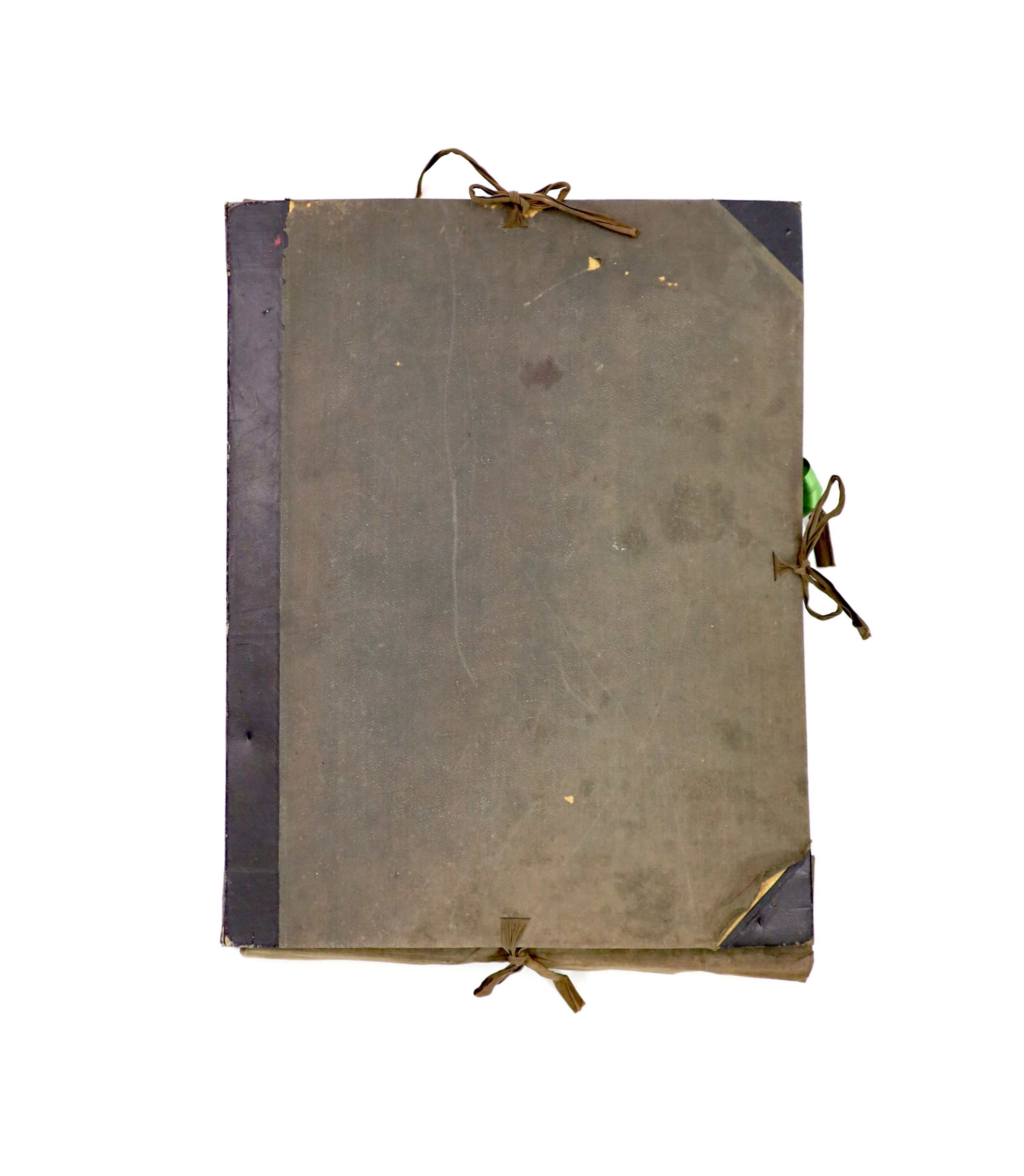 A folio of early 19th century dried botanical specimens on paper, Largest 47 cm X 28 cm (89 specimens)